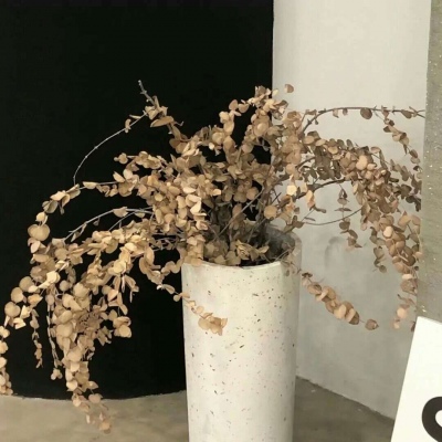 兽设草原场景绘制FurryQQ群